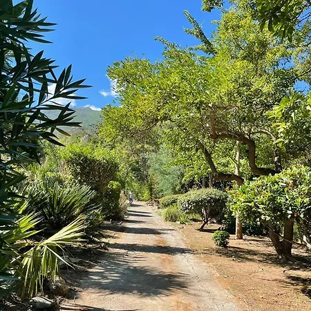 La Bergerie Fiumicellu *