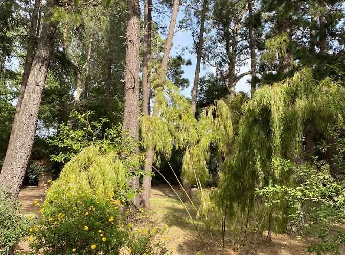 Villa La Bergerie Fiumicellu *