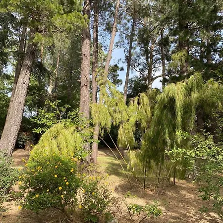 Villa La Bergerie Fiumicellu *