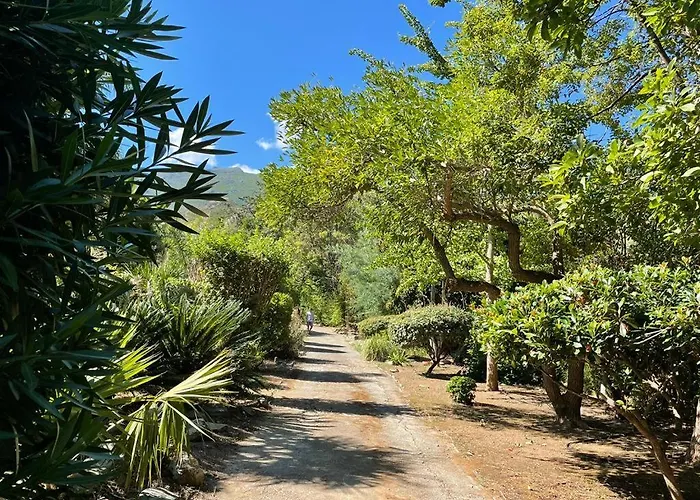 La Bergerie Fiumicellu *